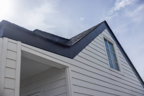 Best Fascia and Soffit Installation  in Muleshoe, TX